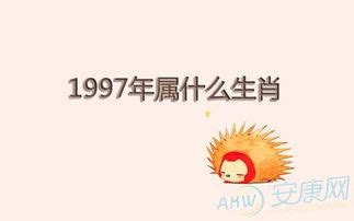 生肖 1997|97年属什么 97年属什么命